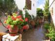 Andromeda hotel Alonissos